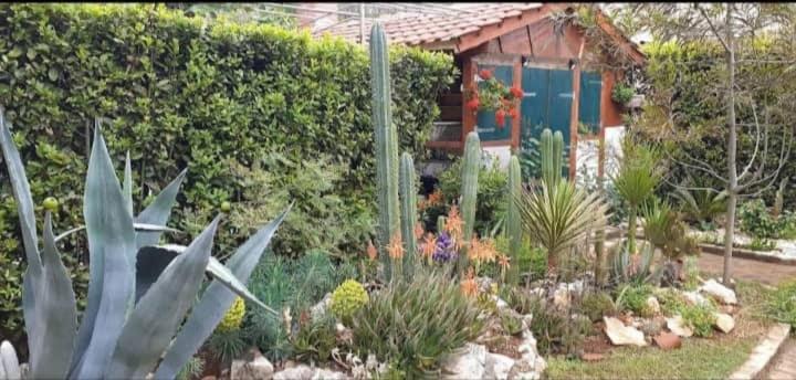 Cactus House Gaspar Zadar Exterior foto