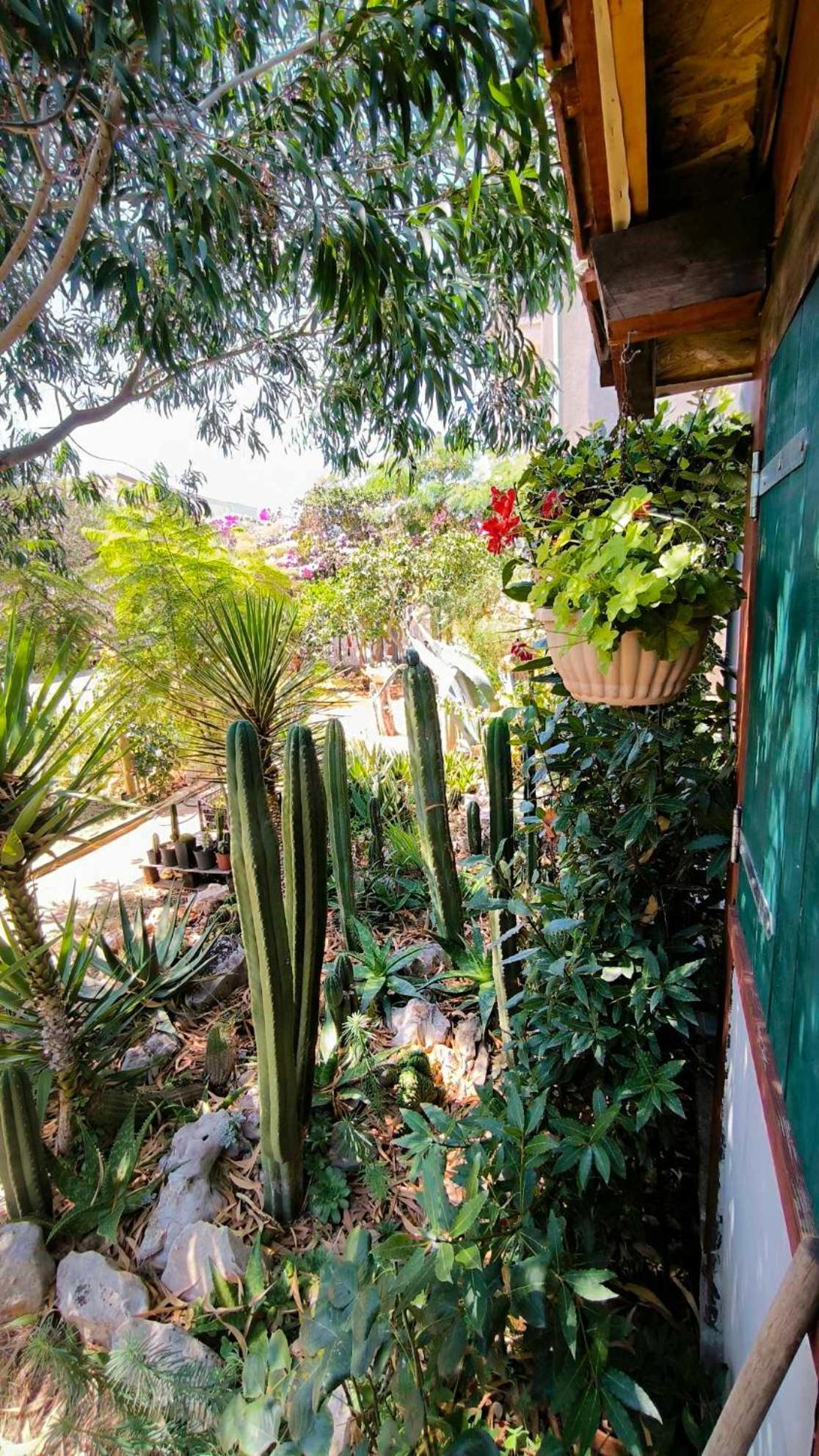 Cactus House Gaspar Zadar Exterior foto